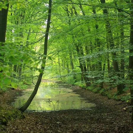 Lodge Winterkoning Nunspeet Veluwe *