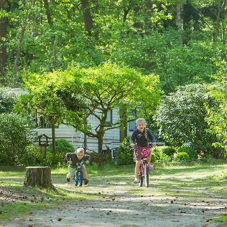 Chalet Lodge Winterkoning Nunspeet Veluwe Nunspeet