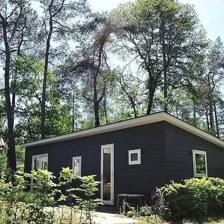 Lodge Winterkoning Nunspeet Veluwe Chalet